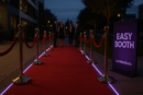 Separadores de Fila y Alfombra Roja